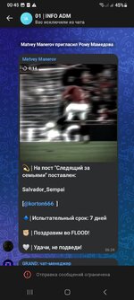 Screenshot_20250411_004555_VK.jpg