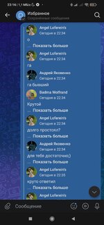 Screenshot_2025-09-03-23-16-23-487_com.vkontakte.android.jpg