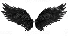realistic-style-black-angel-wings-no-background-perfect-for-print-on-demand-t-shirt-design-app...png