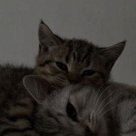 Timurka_Smouk