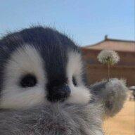 Denis_Lunev