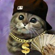 Serega_Sninov