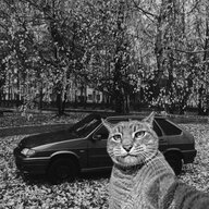 Egor_Sharon