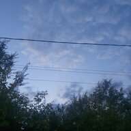 Roman_Volorkiev