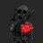 Kandy_Lores