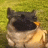 Egor_Flazeon