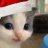 Dima_Santeev