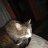 ADELLSM_35