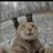 Danil_Watson