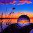 Artem_Bossov24