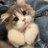 Mafi_Miller