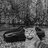Egor_Sharon