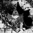 Helished_Holocaust