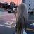 Crystal_Toretto
