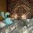 Theodore_Sweezy