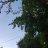 Dima_Toxin